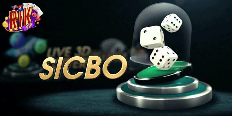 Thông tin khái quát về các cửa cược có trong game Sicbo