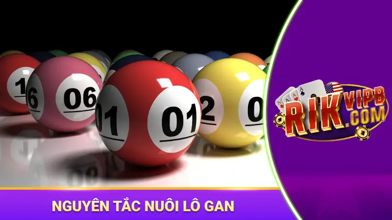 Những nguyên tắc nuôi lô gan để tối ưu nguồn vốn